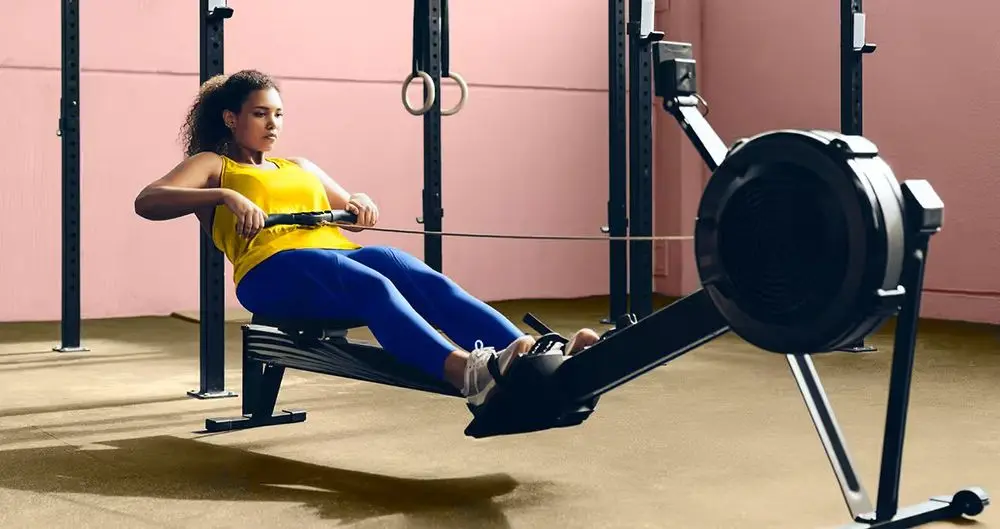 Rowing Machine In Gym