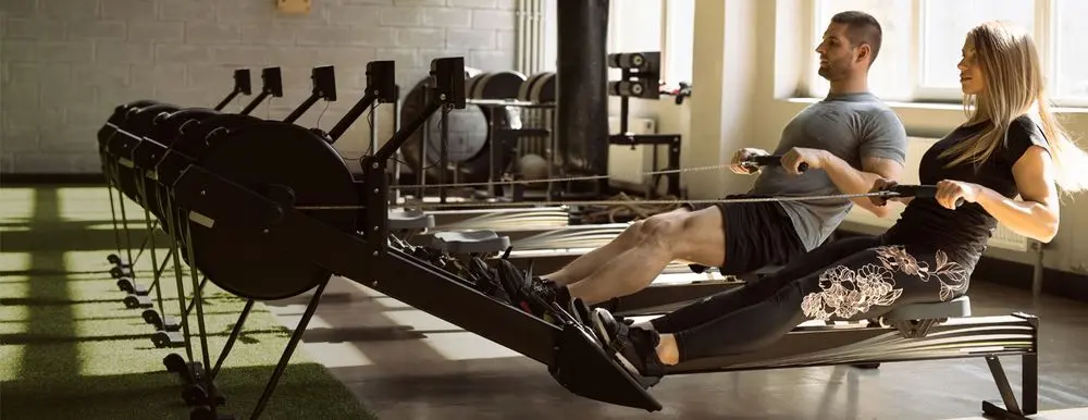 Rowing Machines In Gym