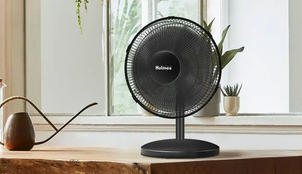 Portable Desk Fan With Stand
