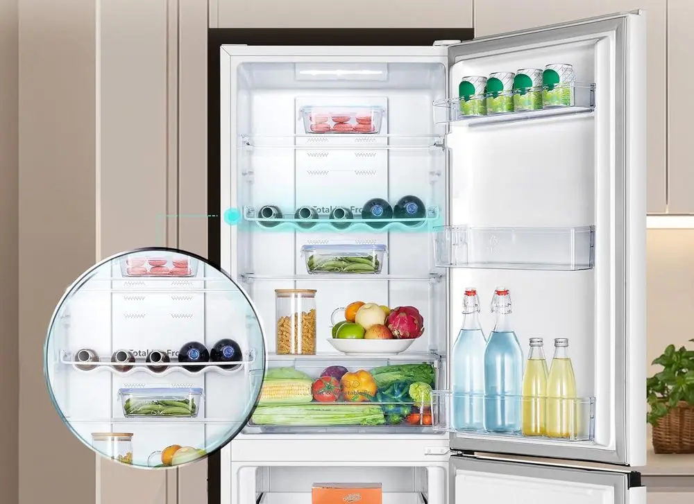 Hisense RB327N4BWE Fridge Freezer Interior View