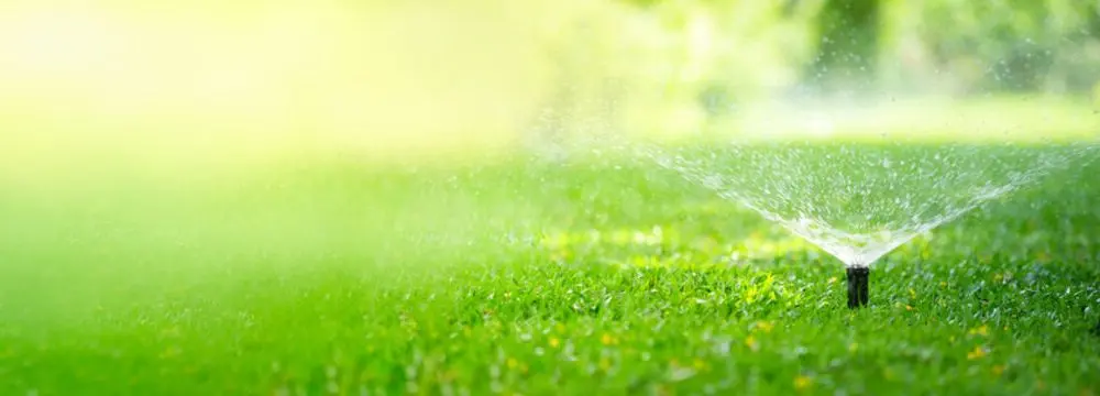 Smart Irrigation Controller In Garden