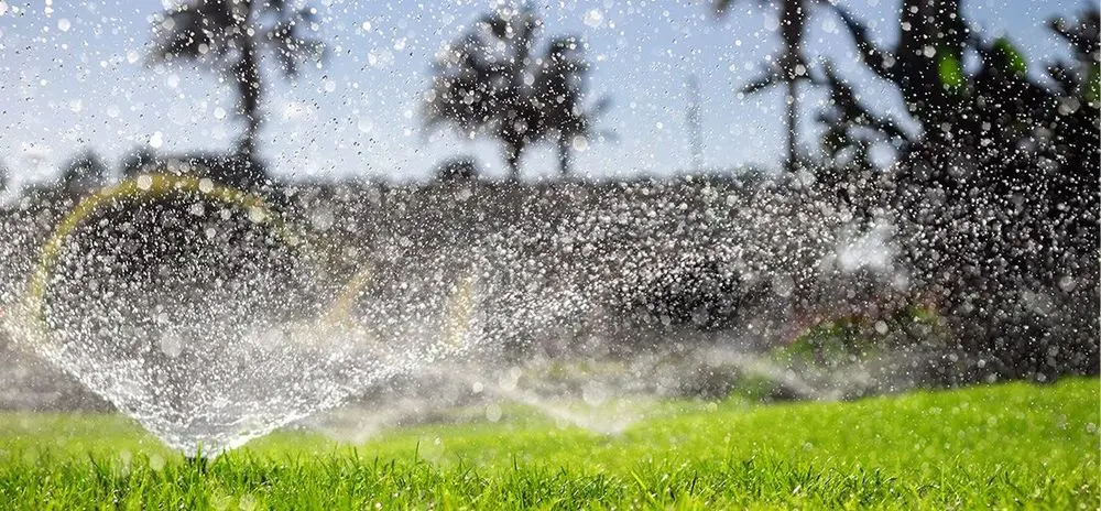 Lawn Sprinkler Controller On Grass