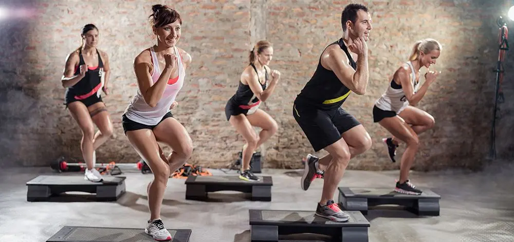 Commercial Aerobic Stepper Fitness