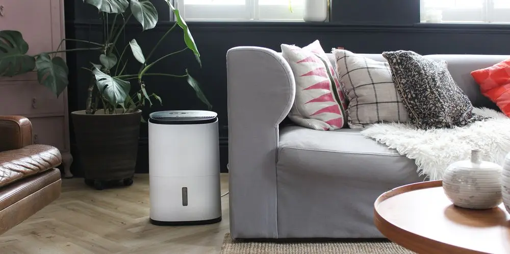 Dehumidifier Purifier Plugged In