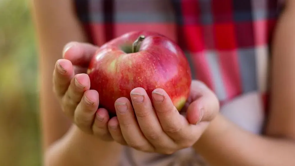 1 Large Red Apple