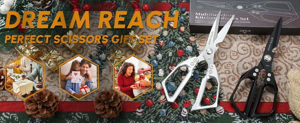 Dream Reach Kitchen Scissors Gift Set
