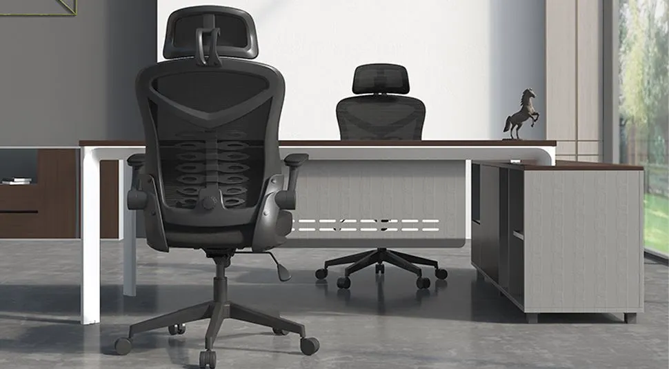 Magic Life Ergonomic Computer Chair High Back