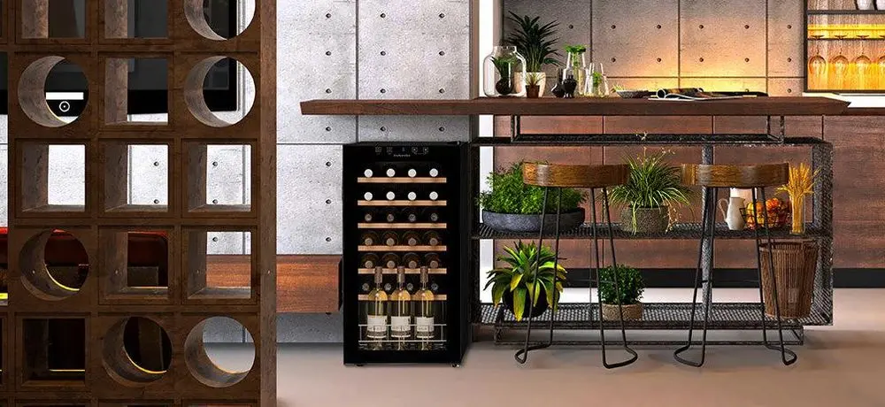 Wine And Beverage Fridge