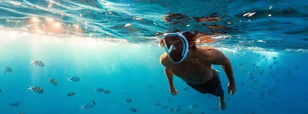 Fish And Scuba Mask Man In Sea