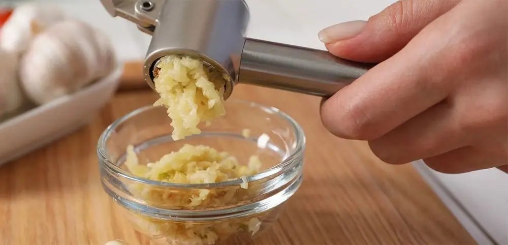 Stainless Steel Garlic Press