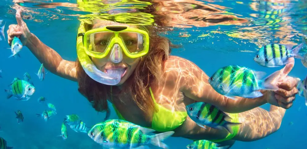 Scuba Goggles & Fish