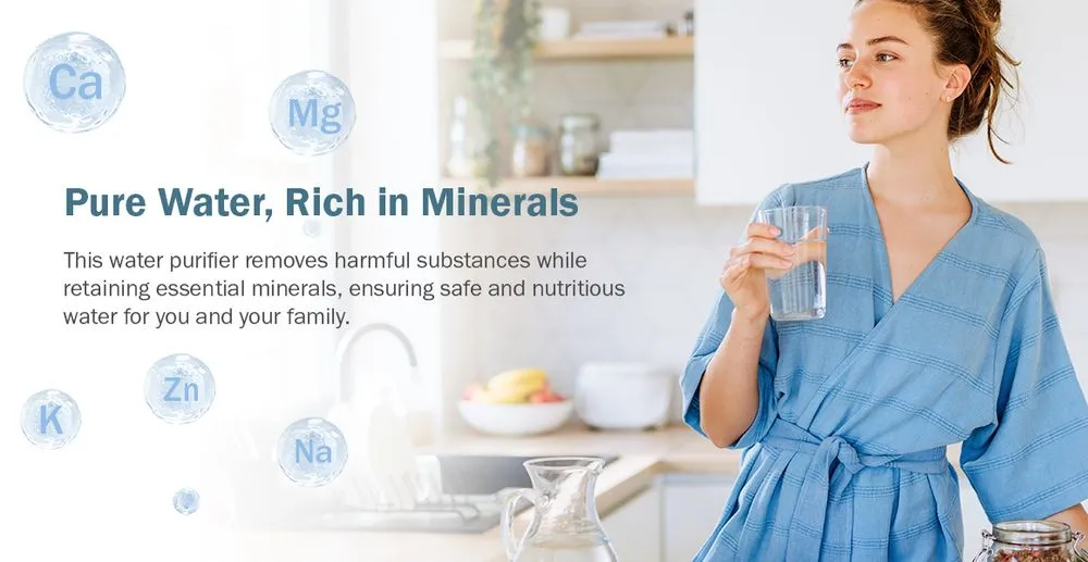 Frizzlife Under Sink Water Filter System