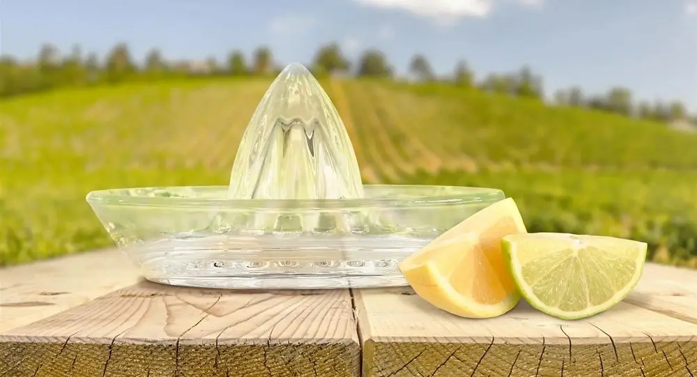 Glass Lemon Juicer Device
