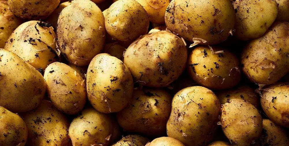 Seasonal New Potatoes