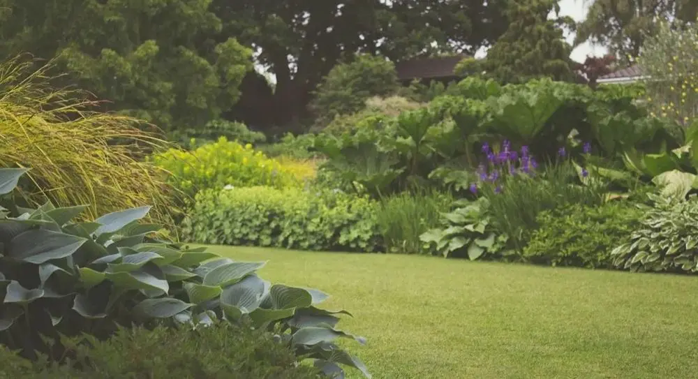 Lovely Garden Scene Flowers