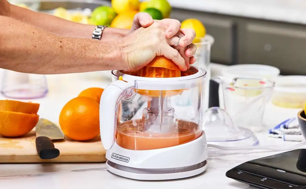 Citrus Squeezer BD Machine
