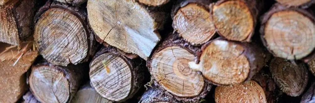 Logs Piled Up