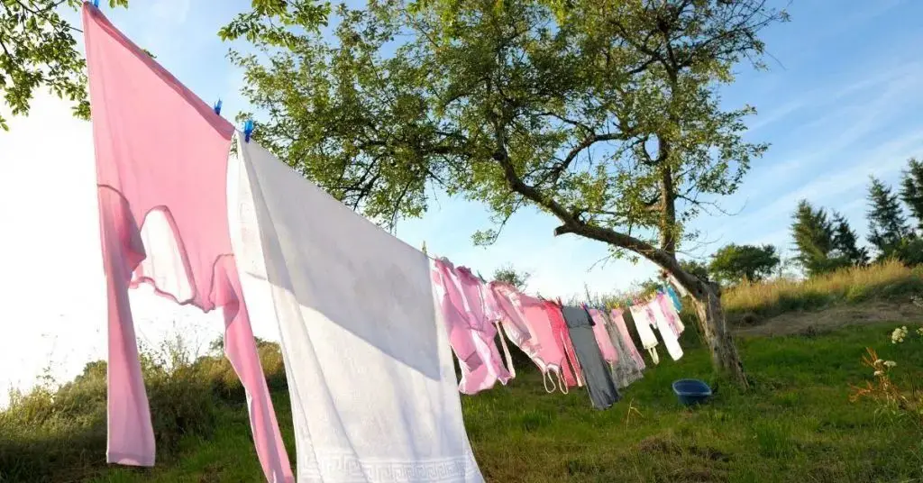 Heavy Duty Retractable Clothes Line On Tree