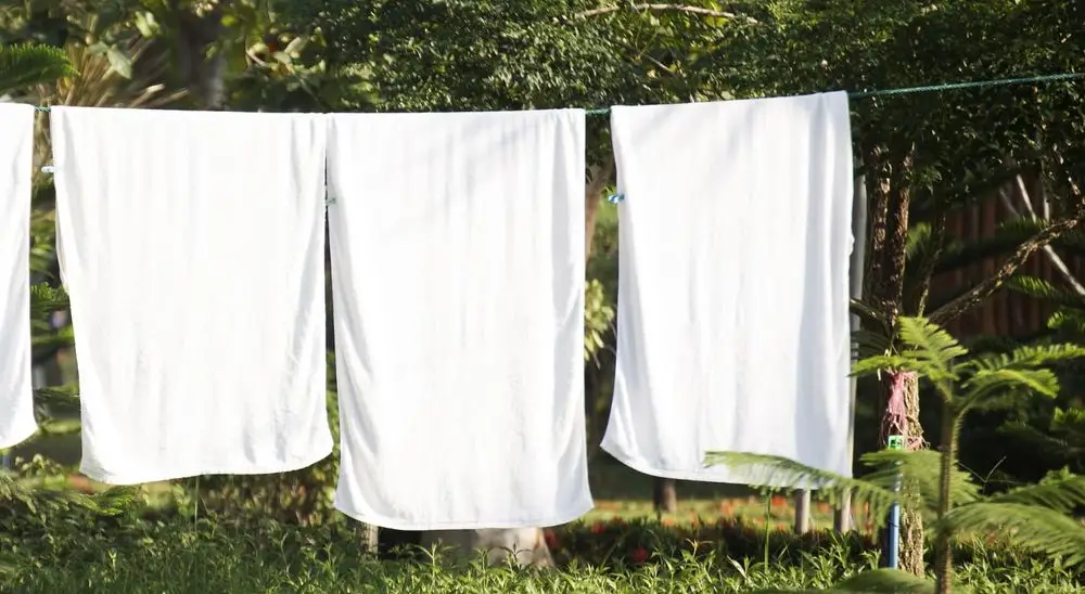 Extendable Laundry Line In Garden