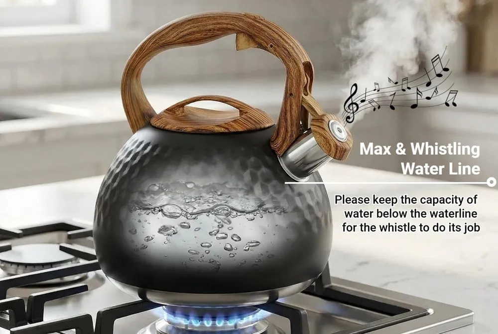 Beruyu Stovetop Whistling Induction Kettle On Gas
