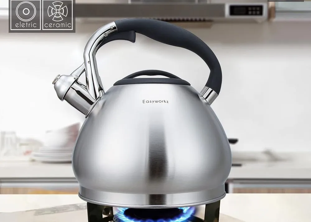 EasyWorkz Loud Stovetop Kettle In Steel Finish