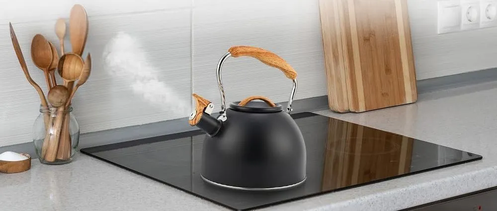 Flintronic Whistle Induction Kettle On Cooker Hob