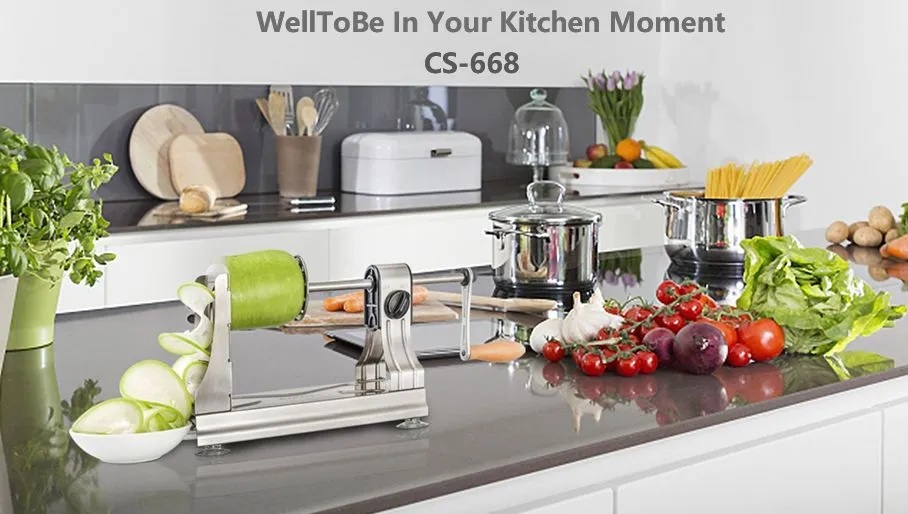 WellToBe Steel Veg Spiralizer Tool On Black Table