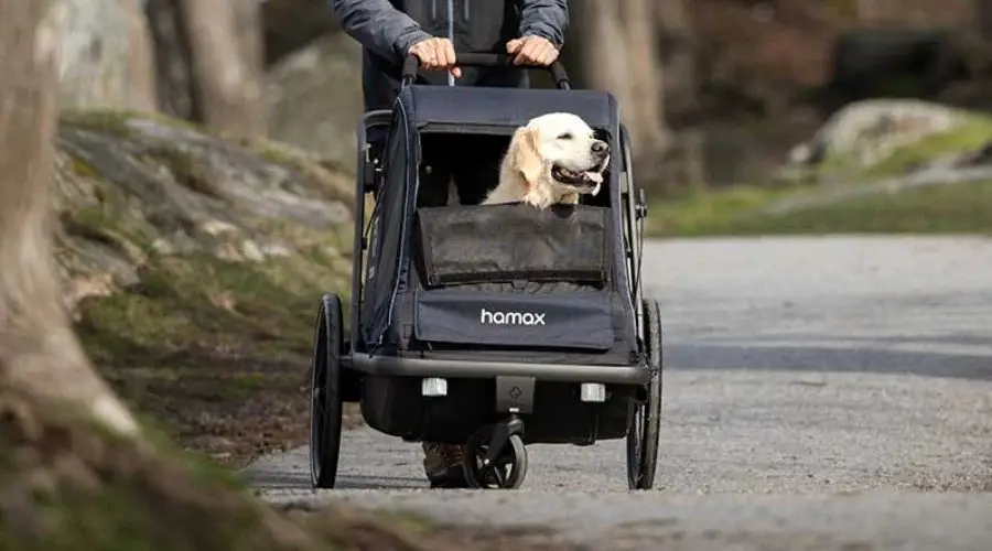 Extra Large Dog Pram With Labrador