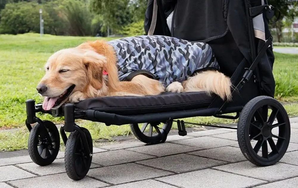 Pet Trailer For Medium-To-Large Dogs On Four Wheels