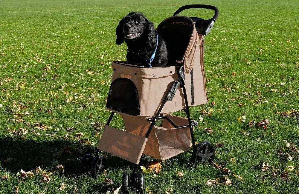 Pet Stroller For Medium Sized Dog In Red