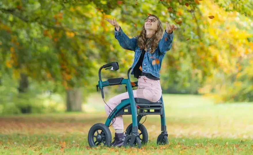 Outdoor Walking Frame On Grass