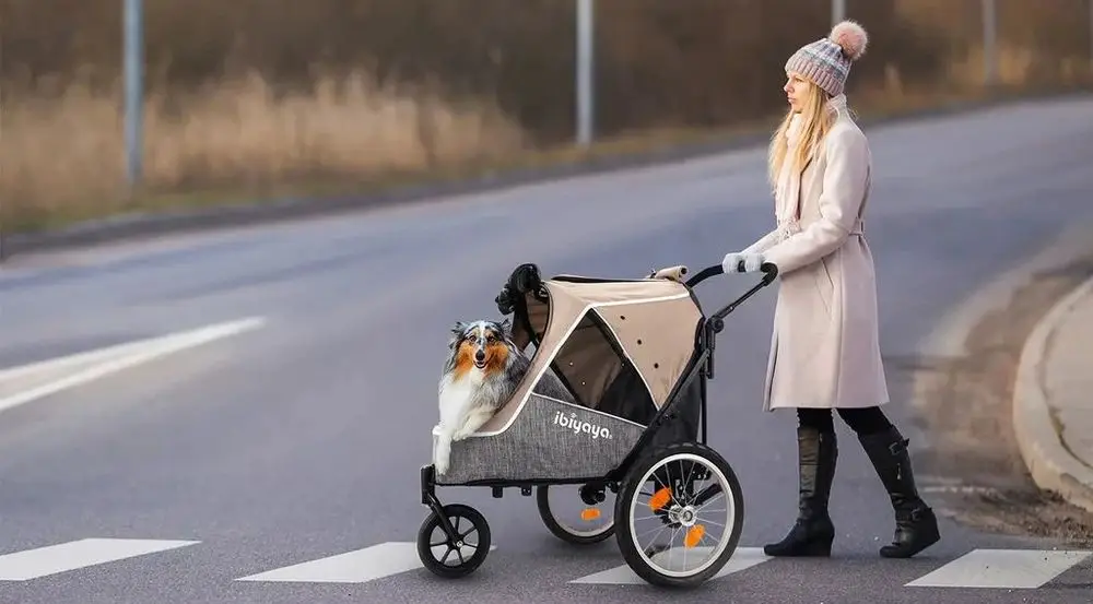 Dog Pram Pink With Woman