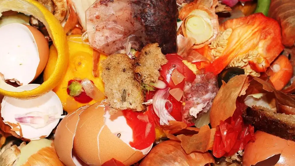 Food Waste In Veg