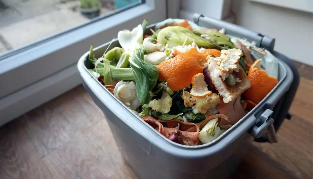 Kitchen Food Caddy Bin With Big Grip
