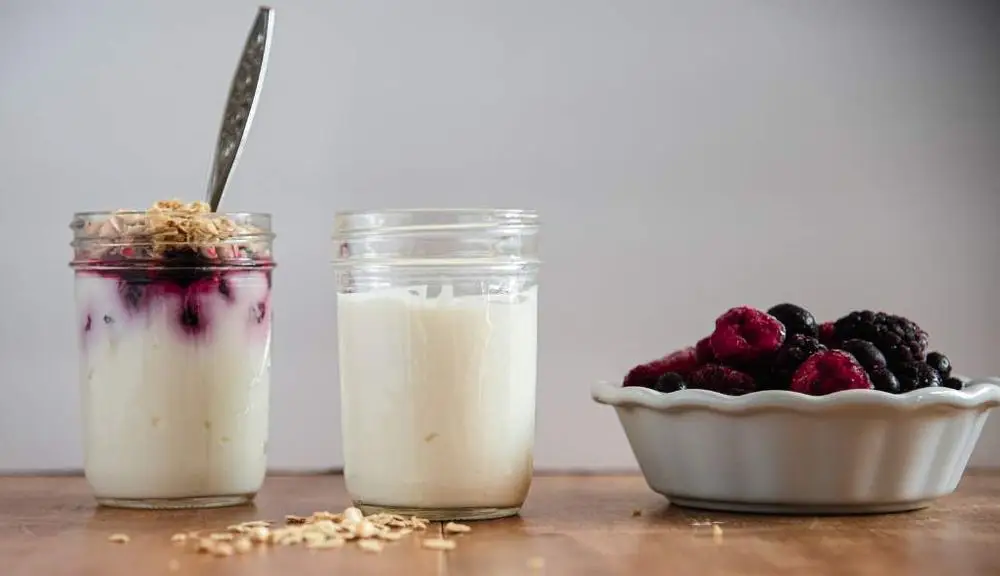 Yogurt Machine With Berries