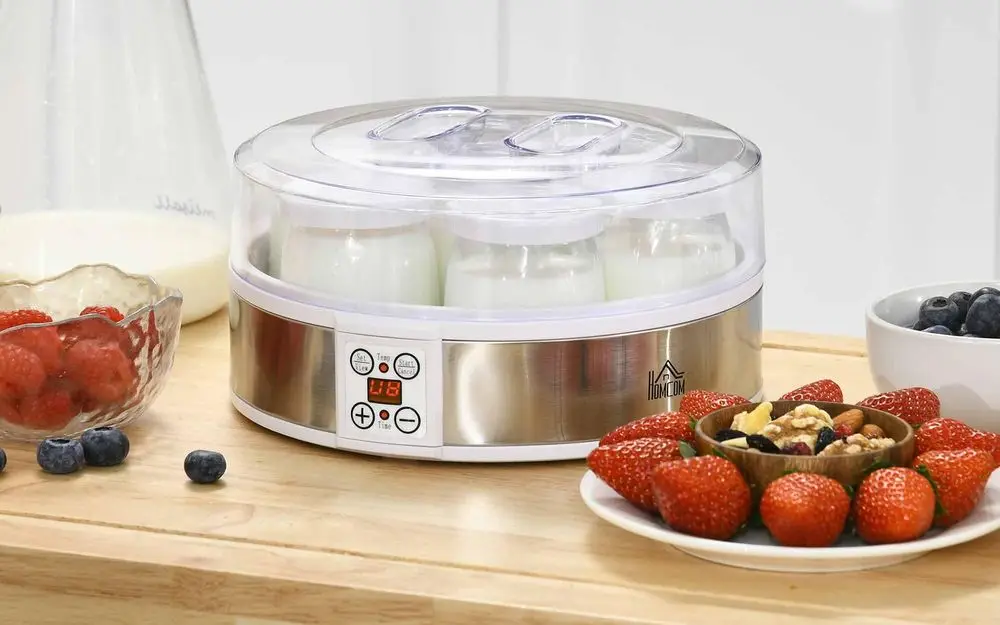 Yogurt Ice Cream Machine With Fruit