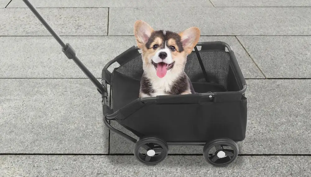 Dog Pram For Small Dogs In Black