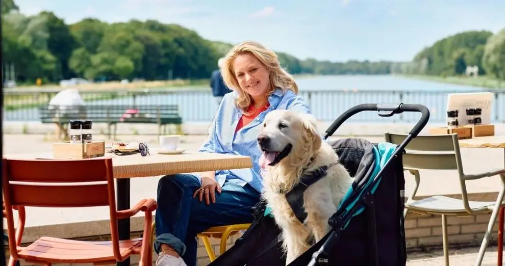 Pet Stroller For Two Dogs In Park
