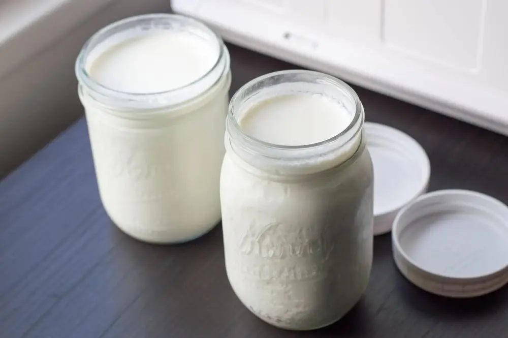 Large Yogurt Maker Produce In Jars