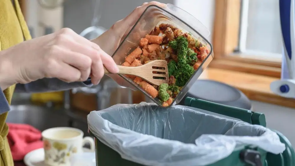 Large Food Caddy Liner