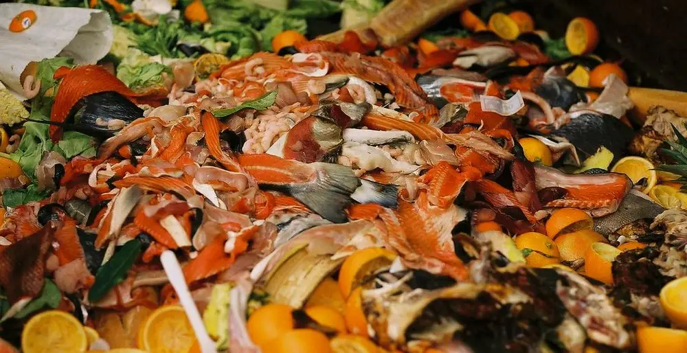 Food Waste Piled High