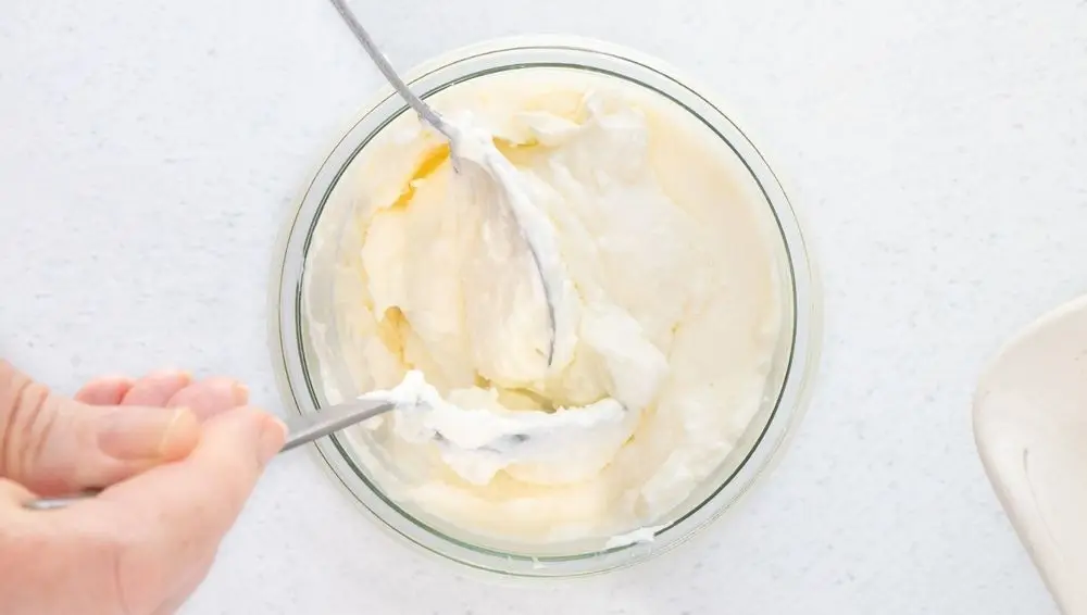 Yogurt Ice Cream Machine Output In Dish