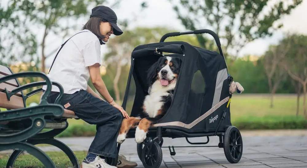 Extra-Large Dog Pram Beside Bench