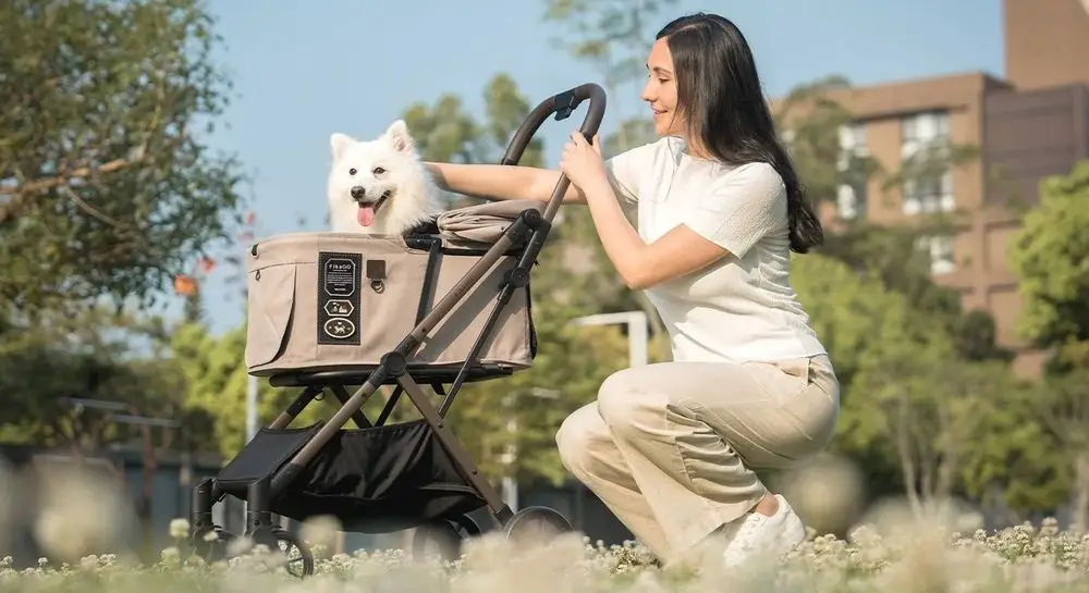 Jogging Pet Stroller For Dog In Green