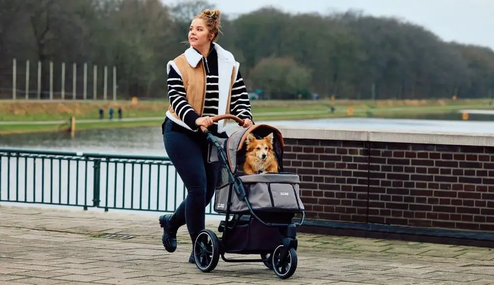 Pet Stroller For Small Dogs On 3 Wheels