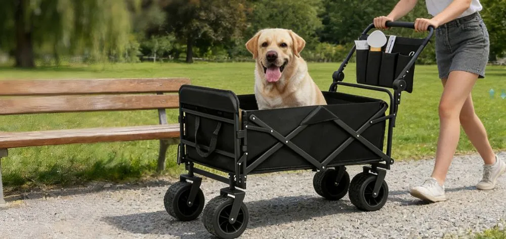 GGW All-Terrain 4-Wheel Stroller For Large Dogs