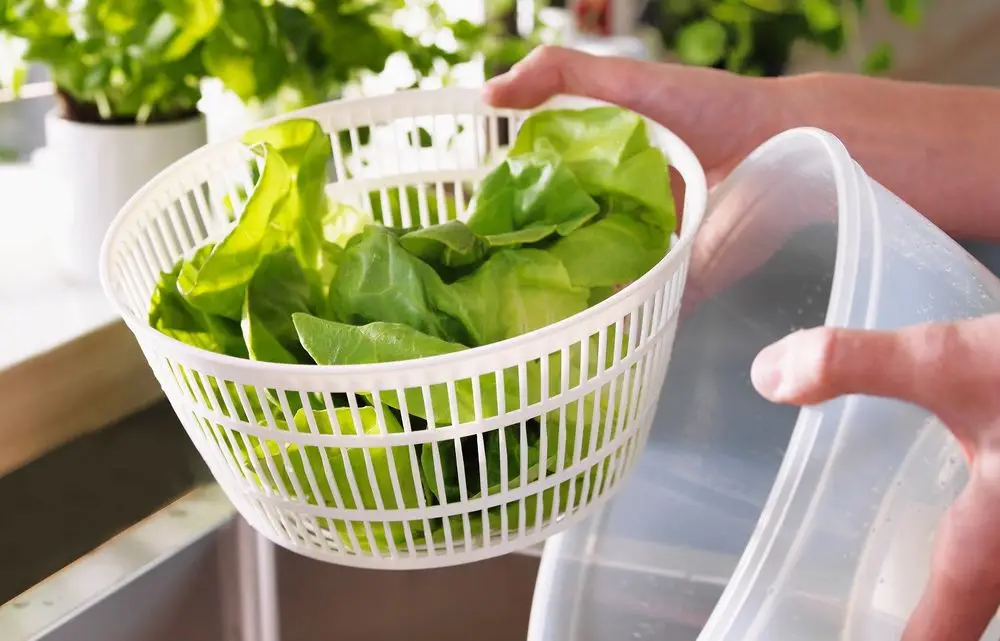 Plastic Salad Spinner At Sink