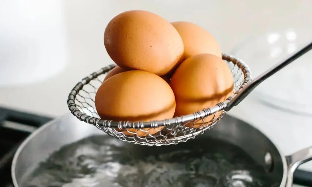 Eggs Cooked In Water Pan