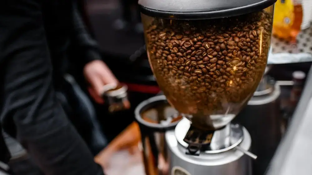 Espresso Coffee Grinder See Through